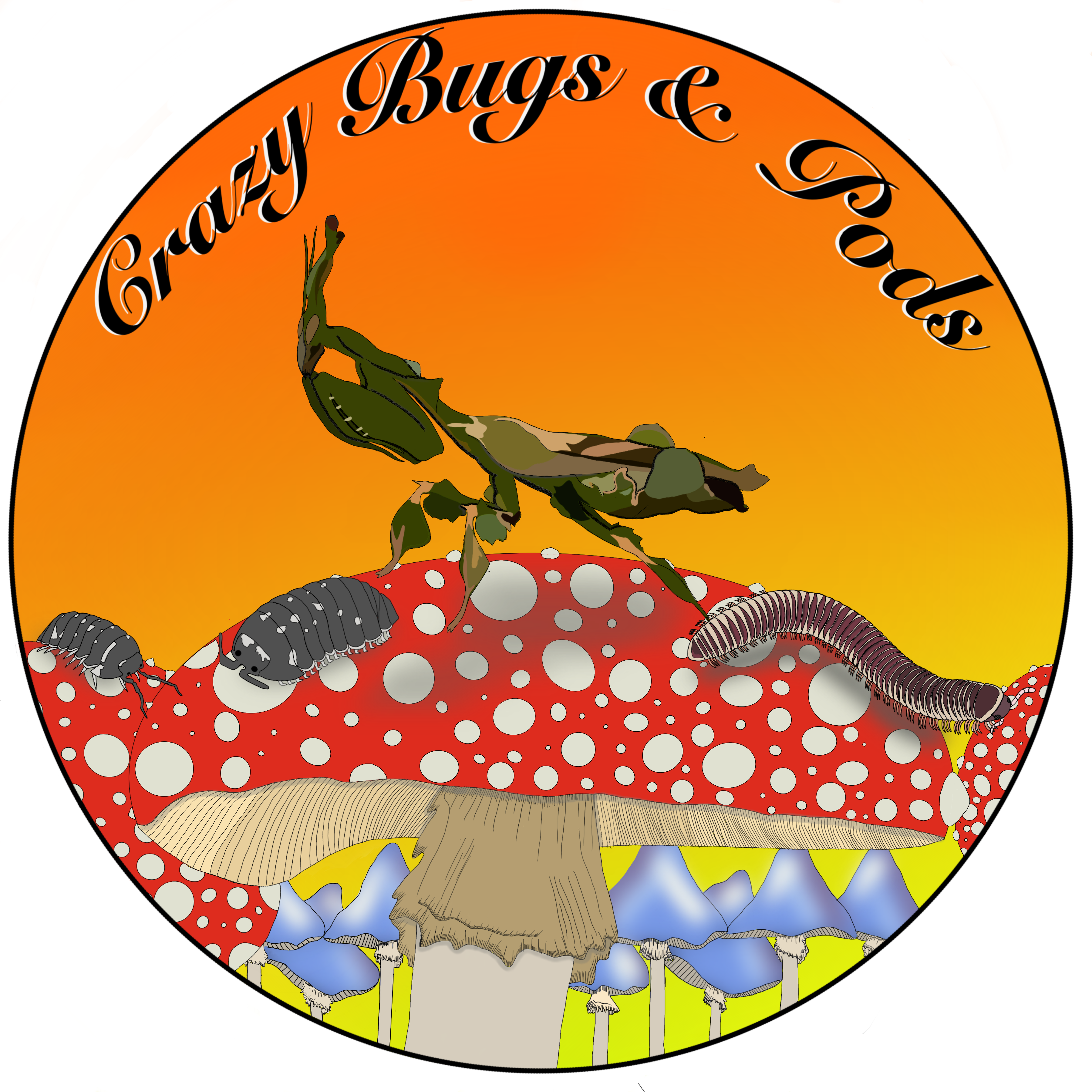 Crazy Bugs and Pods logo